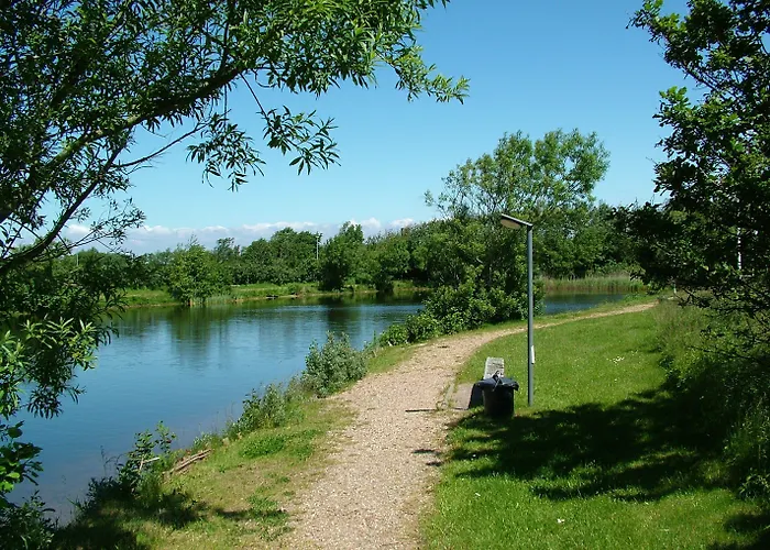 Storkesoen And * Ribe