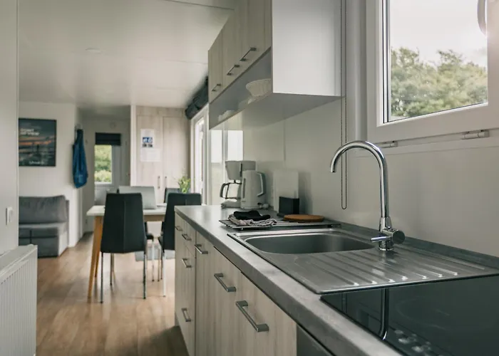 Storkesoen And * Ribe